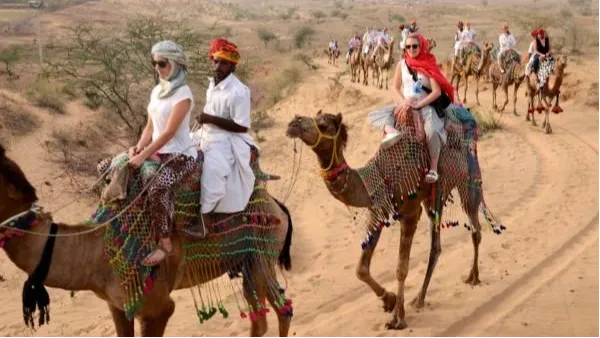 Camel Safari Pushkar